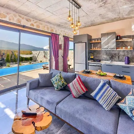 Bird House Duo